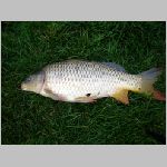 Popelov 17.9.2008 -35.JPG